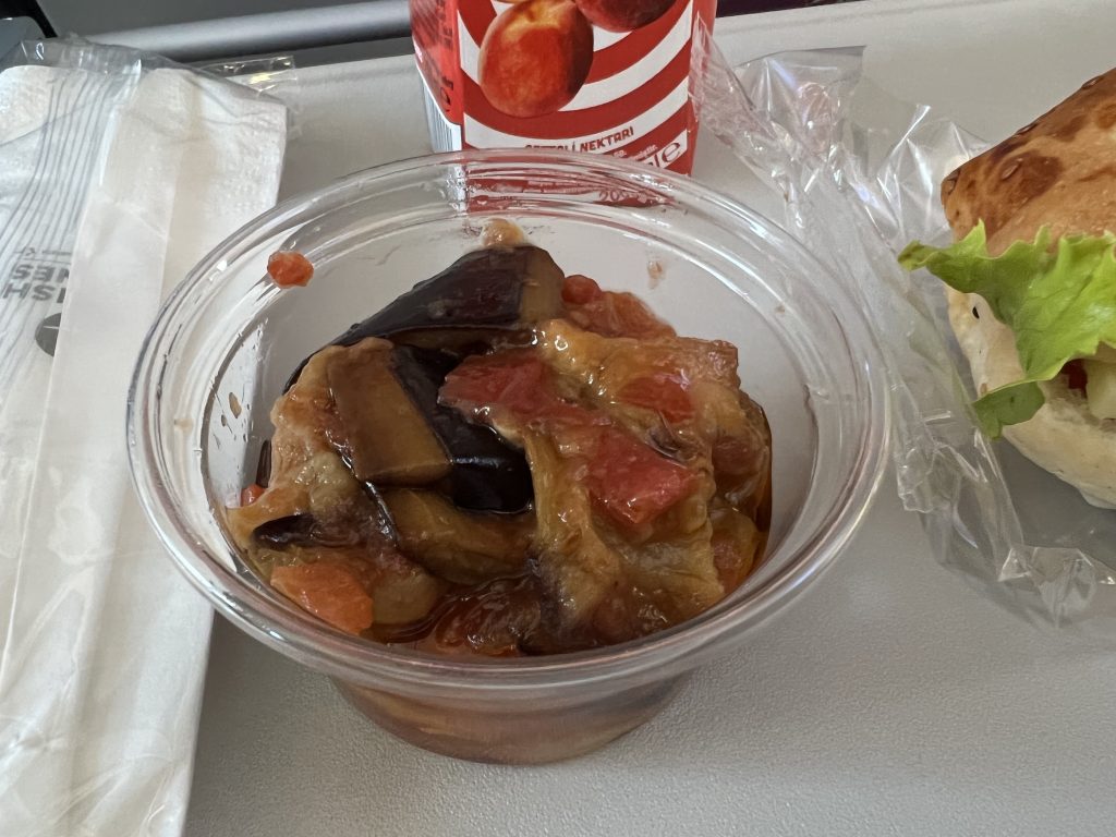 Turkish Airlines 737 Economy Eggplant